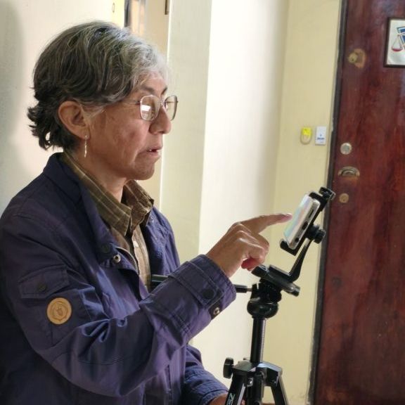 Red PCCS en el mundo virtual